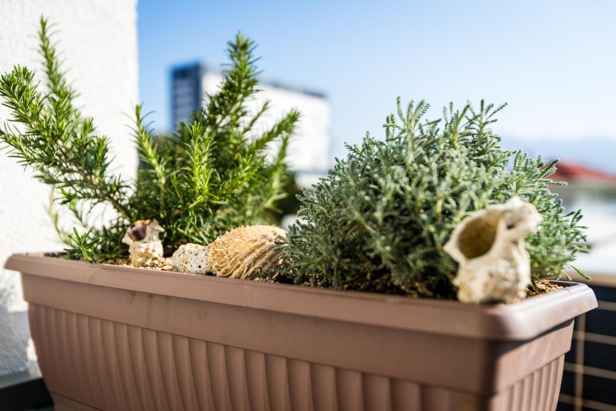 Apartment Romana With A Spacious Terrace Spalato Esterno foto
